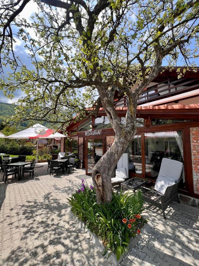 Hotel Casa Centiu Bran  Esterno foto